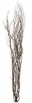 Homestreet Bouquet de brindilles torsadées en osier pour vases et présentoirs sur pied - 120 cm de haut - Couleur marron, noir, argent, or ou naturel (chocolat)