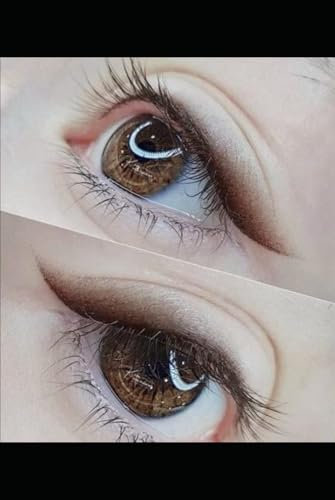 PMU EYELINER TATTOO TRAINING MANUAL: Classic Eyeliner, Winged Eyeliner, Smokey Ombre' Eyeliner (Permanent Make Up, Band 1)