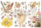 Re-Design with Prima 6 x 12 Decor Transfers Fairy Flowers