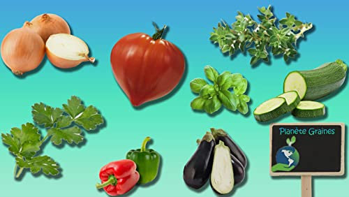 Lot de 400 Graines Spécial Ratatouille - Poivron - Aubergine - Courgette - tomate - oignon - Thym - Persil Plat - Basilic 8 x 50 graines potager…