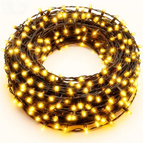 Zichaojia Lichterkette Außen 100m 800 LED mit 8 Modi, Timer und Speicherfunktion – Für Lichterkette Weihnachtsbaum, Lichterkette Innen, Weihnachten, Garten, Balkon und Party (Warmweiß)