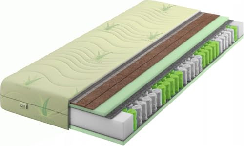 IZER Aloe Vera Taschenfederkernmatratze 2X Kokosmatte 100x200 x 21 cm Härtegrad H3 H5, Bezug Waschbar, 7-Zonen Federkernmatratze