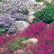 FIORI per giardini rocciosi - SEMI