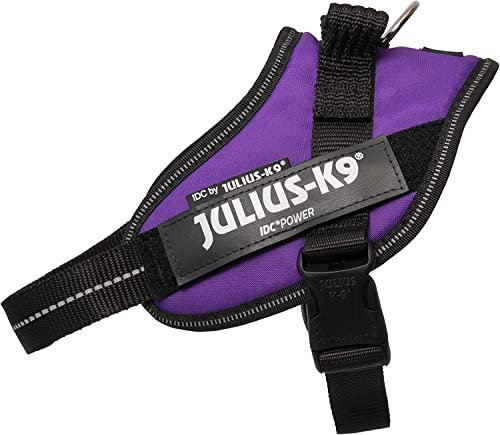 Julius-K9, IDC Powergeschirr, Größe: 2XS/Baby 2, Dunkelviolett