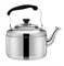 TOPBATHY Gasherd Camping Wasserkessel Induktion 3L Pfeifteekocher Campingkocher ?herd Wasserkocher mit Griff Wasserkocher Küche für Alle Herdarten Fassungsverm? 4L Küchenhexe Samowar