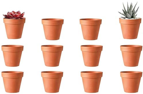STOUCLA Lot de 10 Pots de Fleurs en Terre Cuite avec Trou de Drainage, réutilisables, pour la décoration intérieure et extérieure (4,5 x 4 cm)