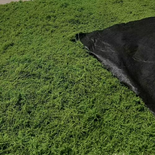 AQCQDQ Moosmatten zur Dekoration, Flachmoos für Moosbilder und Mooswände, Kunst Moos Kunstmoos Zum Dekorieren, Fake Dekomoos Bastelmoos Moos-Matten, Frühlingsdeko (Dunkelgrün,100 * 100 cm)