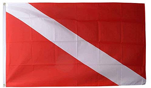 Flaggenfritze® Flagge/Fahne Taucherflagge Michigan - 90 x 150 cm