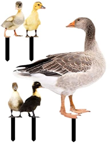 Cabilock 5 Stücke Enten Deko Figuren Gartenstecker Zaunhocker Osterdeko Ente Figur Dekofigur Gartenfigur Acryl Garten Statue Gartendeko Tiere Stecker Rasen Hof Ostern Dekoration