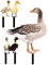 Cabilock 5 Stücke Enten Deko Figuren Gartenstecker Zaunhocker Osterdeko Ente Figur Dekofigur Gartenfigur Acryl Garten Statue Gartendeko Tiere Stecker Rasen Hof Ostern Dekoration