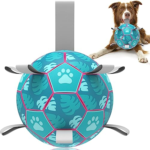 HETOO Dog Soccer Ball, Interactive Dog Toys for Tug of War, Puppy Birthday Gifts, Water Toy, Durable Dog Balls for Small & Medium Lake Blue (8 inch)