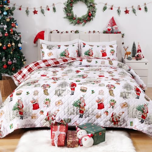 Invoibler Weihnachts-Bettwäsche-Set, Queen-Size-Größe, 3-teilig, Weihnachtsmann, Weihnachtsbaum, wendbar, rot, kariert, Urlaubsdecke, Vintage-/Retro-Stil, Weihnachts-Tagesdecke, Decke (1 Steppdecke, 2