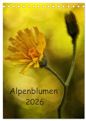 Alpenblumen 2026 (Tischkalender 2026 DIN A5 hoch), CALVENDO Monatskalender: Alpenblumen,eine kleine Reise in die Welt der Alpenflora. (CALVENDO Natur)
