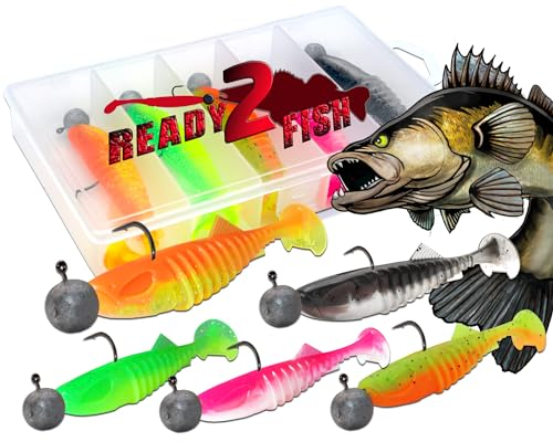 Wild Devil Baits Ready2Fish Shockwave Shad Zander mit Box Gummifisch Set mit Jighaken Kunstköder Gummiköder Angelset (Zander / 10cm)