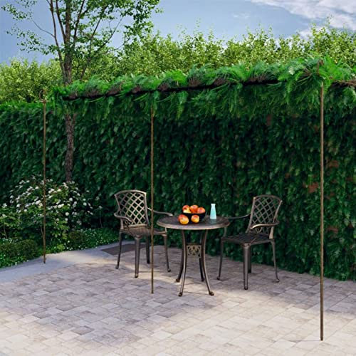 qohoio Pergolato da Giardino Marrone Anticato 6x3x2,5 m in Ferro,Pergola Esterno Giardino,Pergolati da Giardino,Decorazioni per Il Giardino-313999