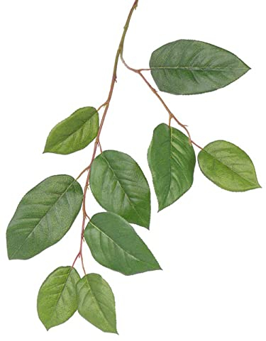 artplants.de Kunst Apfelbaum Zweig Konstantin, grün, 75cm - Kunstzweig