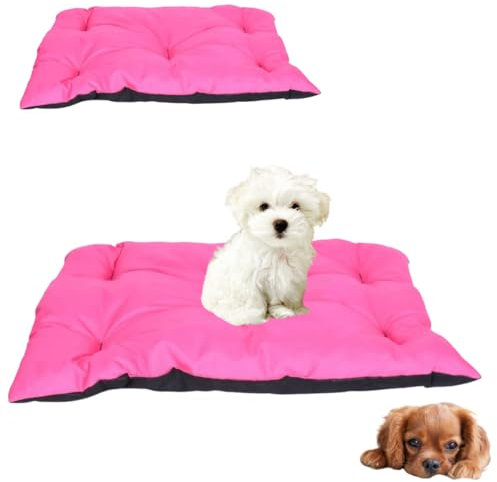 Anwicar Hundebett - Hundekissen - Hundebetten - Hundematte - Hundebett Waschbar - Dog Bed - Hundematratze - Hunde Bett - 60x50 cm - Rosa