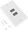 Panel de Placa de Pared USB 2,0 de Doble Puerto, Decoración Adecuada y Fiable para el Hogar, el Edificio de Oficinas y el Hotel