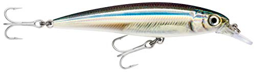 Rapala Unisex-Adult X-Rap Saltwater Locken, Anschovis, 10cm