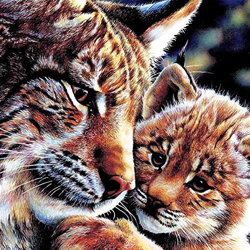 Yingxin34 2000 Stücke Puzzles für Erwachsene,Tiger Vater und Sohn, Gute Sammlungen und Geburtstagsgeschenke-39.17x27.75 Zoll (99.5 x 70.5cm)