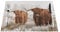 Platzsets aus PVC, Motiv: haarige Kuh auf schottischen Highlanders, natürlich, waschbar, rutschfest, rechteckig, für Küche, Esstisch, Wärmeisolierung, 45 x 30 cm