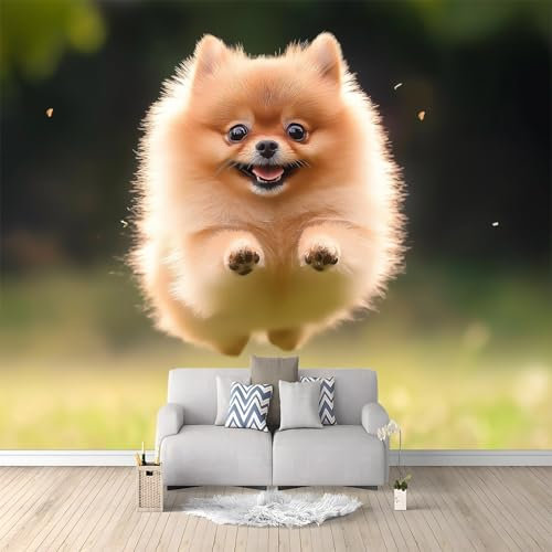Fototapete Tiere Zwergspitz Süß 350x256 cm 3D Vliestapete Wandbild, Mustertapete Moderne Wandtapete, Wohnzimmer Schlafzimmer Kinderzimmer Büro Flur Wanddeko