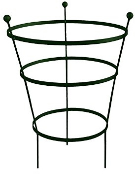 Garden Pride Peony Cage Plant Support - Available in plastic coated or raw steel, designed to rust - Heavy Duty Peony Cage plant Support (62cm Tall - Pack of 2, Raw Steel - Designed to Rust)