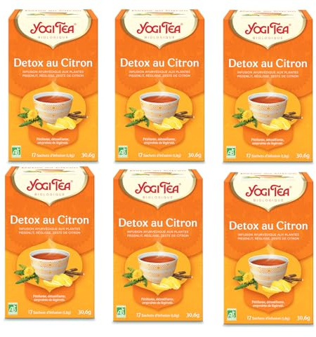 Yogi Tea - Kurkuma Orange, Ayurvedischer Bio Gewürz- und Kräutertee, Mischung aus Kurkuma, Orange und Vanille, Yogi Tee 6er Pack, 6x17 Beutel (102 Teebeutel insgesamt), Ideal als Geschenk