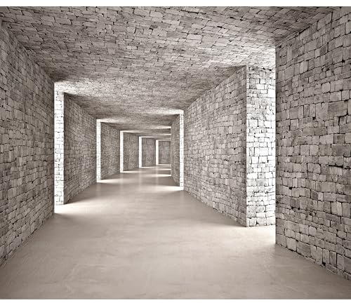 murando - Fototapete Premium-Vlies 3D Effekt Tunnel 200x140 cm - Foto Tapete Schlafzimmer Wohnzimmer Moderne Vliestapete XXL Wandtapete Motivtapeten Bildtapete Dekoration - Mauer Ziegel d-B-0332-a-a