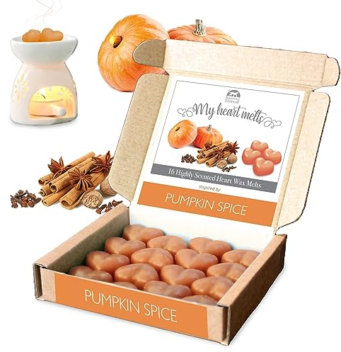 Pumpkin Spice Wax Melts – 16 x 5 g stark duftende Kürbiswachs mit Apfel, Kuchen, Zimt und Nelke, Halloween, Herbst und Weihnachtsdüfte in einer Geschenkbox