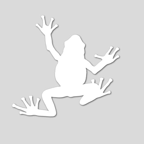 Aufkleber fürs Auto | Frosch Sticker | Witzig Tierliebhaber Tier Spaß Autoaufkleber Auto Aufkleber Wohnmobil Quad Motorrad Biker Chopper Bobber Roller (weiß glanz)