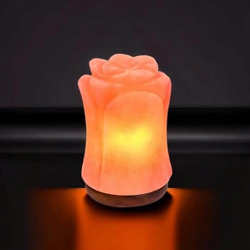 Saltbay Himalaya-Blumensalzlampe Größe L mit Dimmer für den Valentinstag