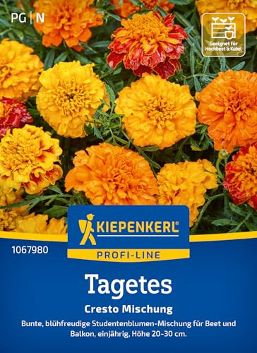 Kiepenkerl Tagetessamen Cresto Mischung 1067980, Blumensaat | Gefüllte Blüten, einjährig, für Beet & Balkonkasten