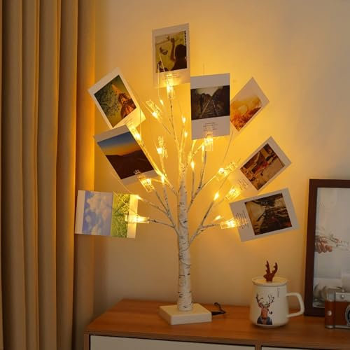2 Pack Money Tree Gift Card Holder- DIY Birch Tree Lamp with 12 Clips and 24 Twig LEDs, Display Money Cash Photo for Birthday Christmas Home Party Festival Wedding (Warm 2Pack)