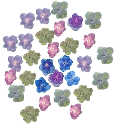 iplusmile Getrocknete Hortensien Trockenblumen 30 Stück Selbstgemacht Bastelblumen Natürlich Lebensecht Bunt für Scrapbooking Maniküre Dekoration