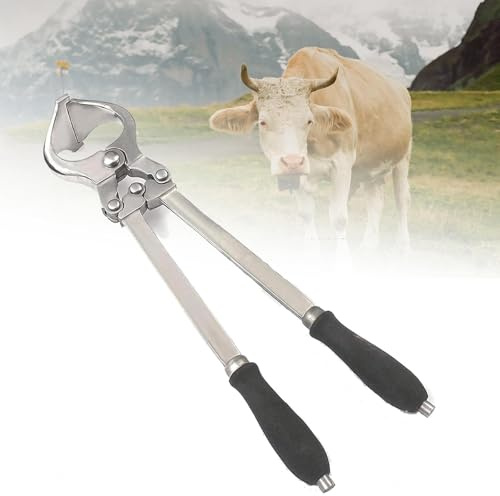 MTTXY Pinza per castrazione Bovina, Pinza per castrazione in Acciaio Inossidabile, Apertura Massima 3,8 cm, Strumento Veterinario, per veterinari, allevatori e custodi di Animali