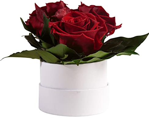 ROSEMARIE SCHULZ Heidelberg Infinity Rosenbox weiß rund konservierte Blumen Dunkelrot - 3 Infinity Rosen Durchmesser 15 cm - Blumenstrauß versenden (Burgundy, Medium)