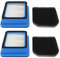 Ausla Filtro per Aspirapolvere Electrolux, 2 Pezzi Sostituzione Filtro Aspirapolvere per Q6 Q7 Q8 WQ61 WQ71 WQ81