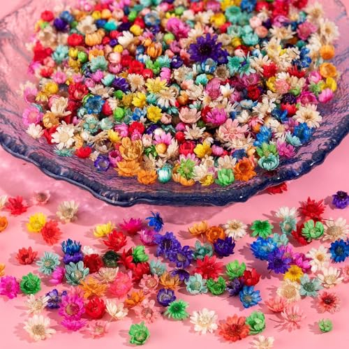 Nayyana 420 Stück getrocknete Blumen für Kunstharz-Kunsthandwerk, kleine getrocknete Blumen für Nägel, echte natürliche kleine getrocknete gepresste Blumen für Schmuck, Ohrringe