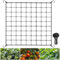 Scrog Netz Pflanzennetz, Elastische Spalier Netz mit 4 Haken, 90x90cm - 120x120cm Garten Netz Pflanzen Netz, Pflanze Unterstützung Netz für Gemüse Früchte Blumen, Gurkennetz für Gewächshaus