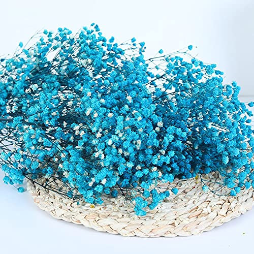 YIWOYI Ramo de flores secas naturales Gypsophila Paniculata preservadas para decoración del hogar y fiestas de boda (azul marino, 30-40 cm, 30 g)