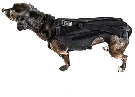 Asixxsix Hunde-Rückenbandage für Arthritis bei Hunden, Haustier-Rückenbandage für IVDD, Rückenschutz Hilft bei Schmerzlinderung, Chirurgischer Genesung und Rehabilitation (L)