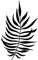 Artemio Blatt Farn Stempel, Holz, schwarz, 4,5 x 2,5 x 7 cm