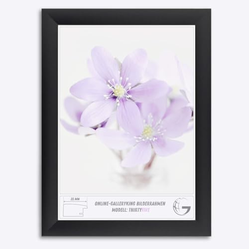 Online-GalleryKing OGK Thirtyfive Bilderrahmen 23x28 cm Schwarz Matt mit MDF Holzrahmen vollummantelt, entspiegeltes Anti-Reflex Kunstglas und HDF Rückwand - Fotorahmen für Hoch- und Querformat