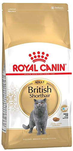 ROYAL CANIN British Shorthair 2 x 4kg Sparpackung