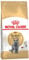 ROYAL CANIN British Shorthair 2 x 4kg Sparpackung