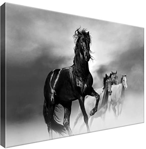 Estika Leinwand bilder - Schwarzer Mustang, Nebel - 60x40 cm, 1 teilige kunstdruck - Wandbilder wohnzimmer, schlafzimmer, Moderne wanddeko, Bild auf leinwand - Tiere bilder - 2501A_1E