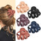 Lolalet Mollettone Capelli Donna 5 Pezzi, Pinze per Capelli Elegante, Ciappo Capelli Donna Forti e Antiscivolo, Capelli Clip Artiglio per Donne e Ragazze - Stile C