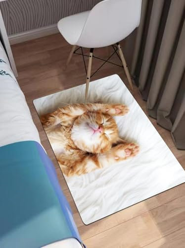 OHAGS nicht rutsches Badezimmermatten maschinenwaschbar, Ultra-weich und Wasser saugfähiger Badenteppich für Badezimmer,Niedliches kleines rotes Kätzchen schläft auf Einer weißen Felldecke,60x90 cm
