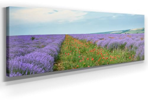Panorama Leinwand Mohn mit Lavendel - als 150x50cm großes XXL Leinwandbild. Wandbild als Hintergrund und Deko für Wohnzimmer & Schlafzimmer. Aufgespannt auf Holzrahmen